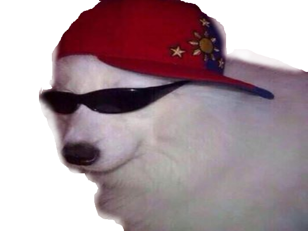 doggo chien lunettes risitas niknak cool