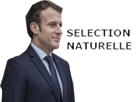 naturelle-selection-emmanuel-macron-politic-vax