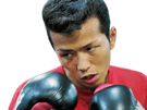 coqs-asie-super-shingo-boxeur-japonais-japon-wake-other-boxe