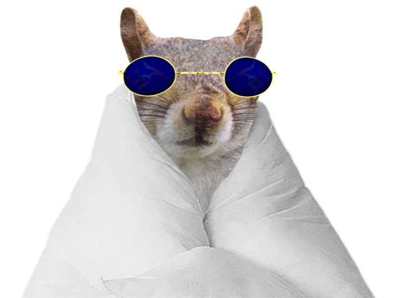 couverture lunette lunettes bogoss couette animal ecureuil jvc