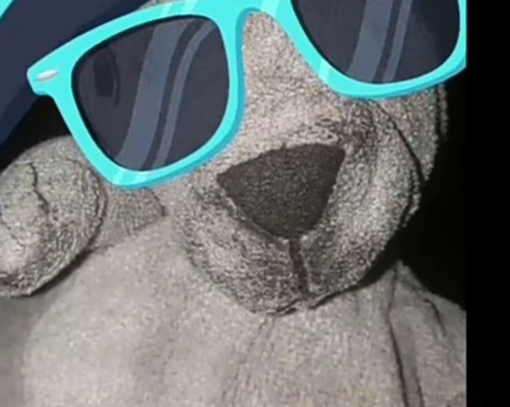 clasheur lapin wesh jvc