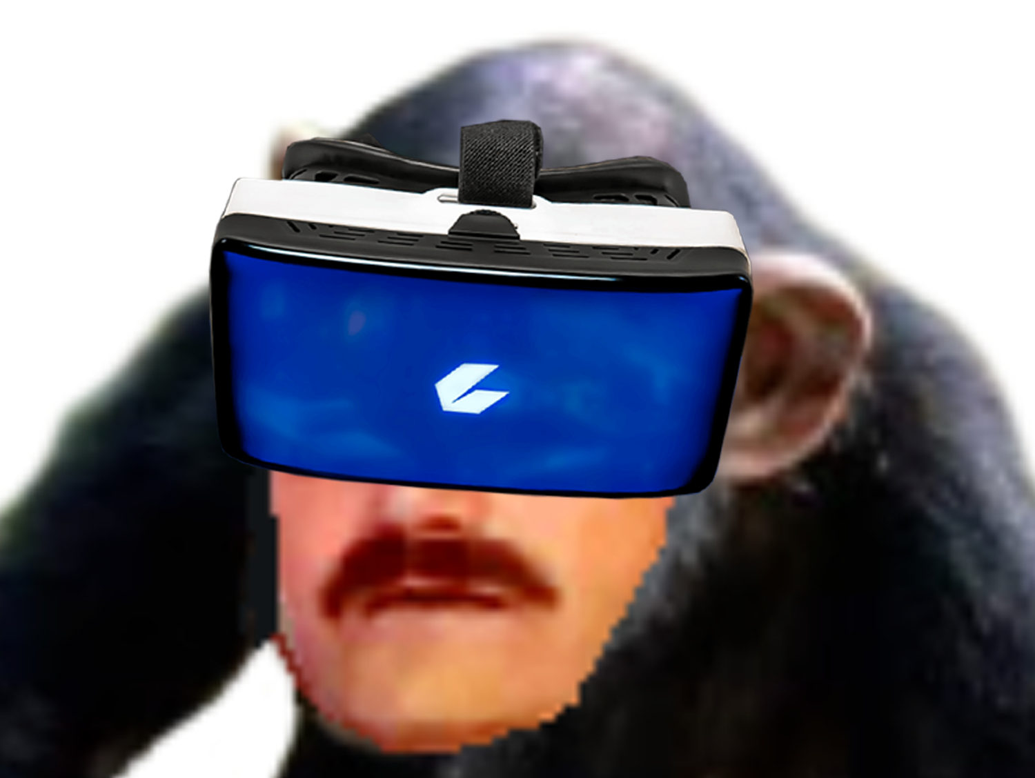 ceek risitas selection naturelle