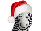 risitas-zebre-bonnet-noel-zebra