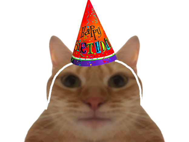 anniversaire chat celestin feiinaee jvc