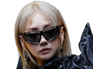 rin-lunette-sunglasses-yeah-asian-asiatiaque-qlc-kpop-blonde-2ne1-cl-cool-chae-kikoojap-lee