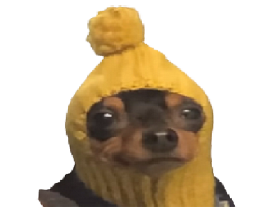 bonnet mignon molosse toutou