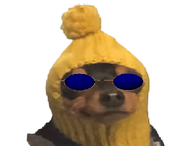 gelem toutou mathematique golem pnj bonnet lunette molosse yuga elton john chien coffre selection kali