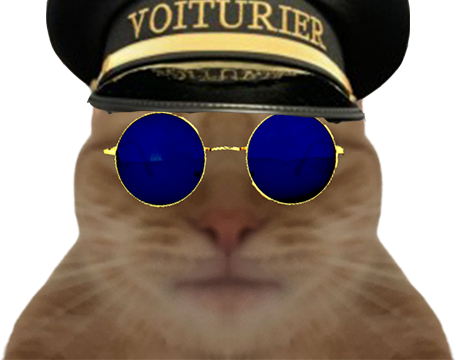 voiturier chat lunette roux risitas