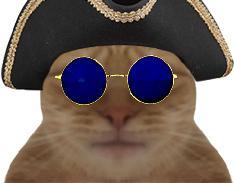 tricorne risitas lunette chat