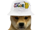 risitas-gameboy-geek-bob-color-shiba-chien