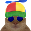 roux-risitas-helice-casquette-chat