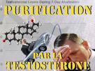 testosterone-nofap-selection-testo-coomer-purification-nnn-cap-other