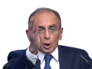 other-eric-zemmour-president-meeting-lunettes
