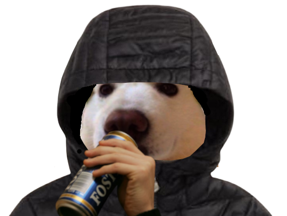 boit alcoolique canette meoarst risitas cool alcool biere chien capuche