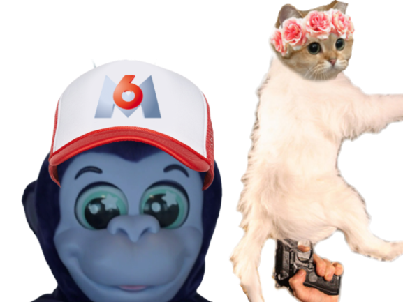 ddbeur singed chatton m6u flingue zen casquette cul chatte chat minette singe