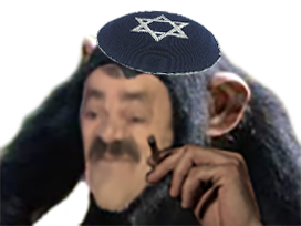 avn singe other juif qls avenoel