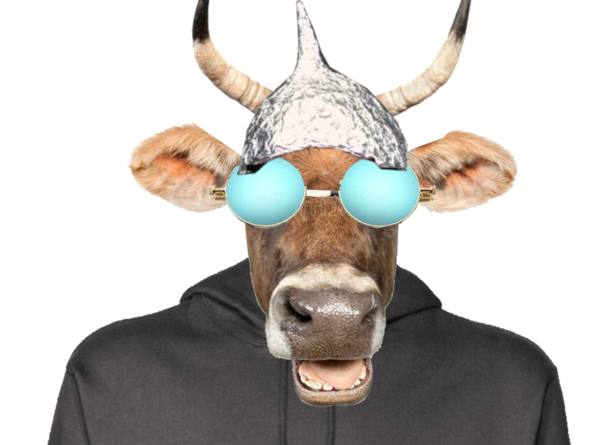 complot lunette complotiste vache meuh