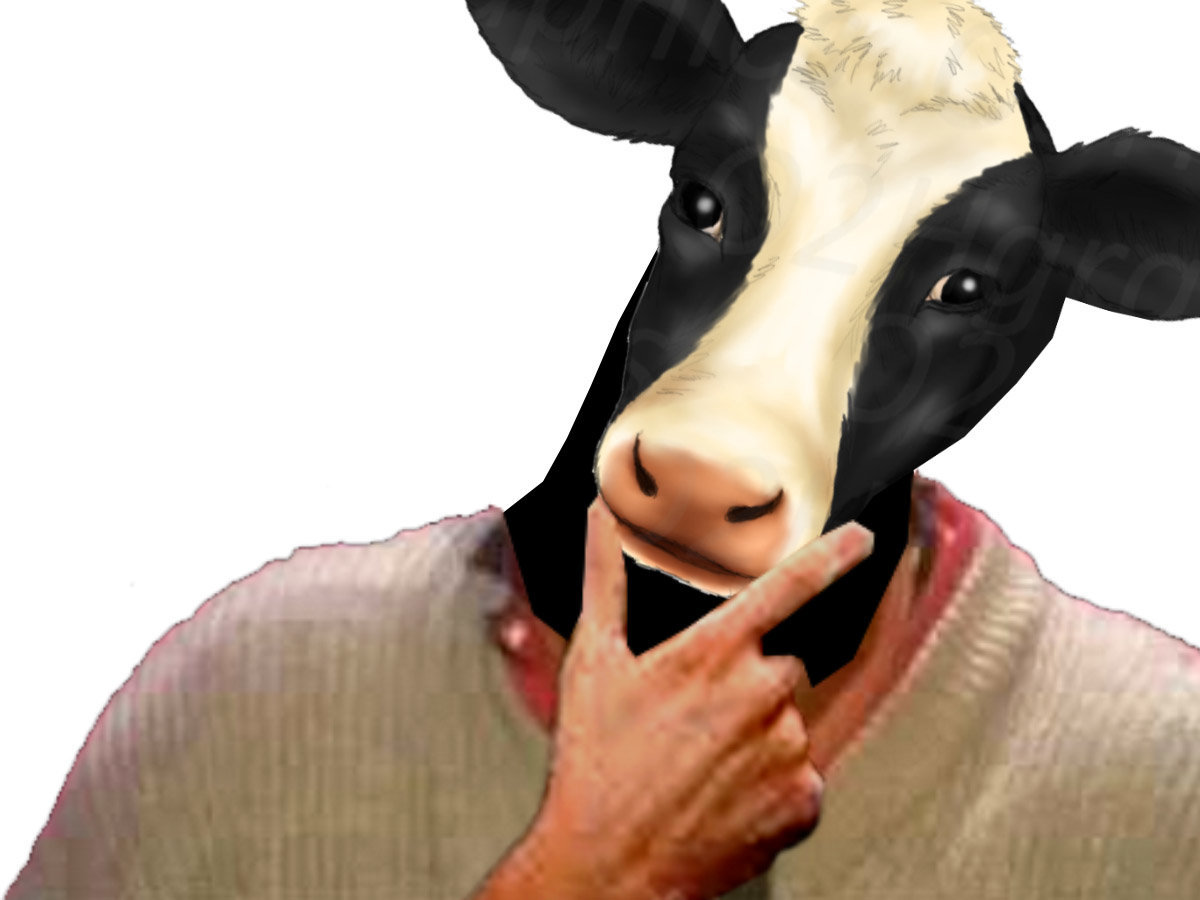 other vache meuh reflexion