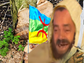 avenoel souche avn issou arbre risitas berbere2souche