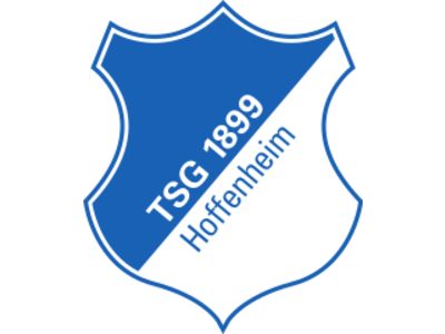 other allemagne club hoffenheim foot football logo tsg bundesliga