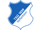 other-allemagne-club-hoffenheim-foot-football-logo-tsg-bundesliga