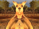 other-vatren-kangoo-deter