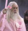 gandalf-pink-lord-anneaux-other-hello-seigneur-rose-rings-kitty
