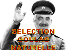 staline-urss-novitchok-moqueur-selection-naturelle-risitas-goulag-ahi-communisme