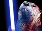 loutre-star-wars