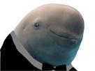 beluga-hautain-riche-dauphin-classe-ironique-sarcastique-sourire
