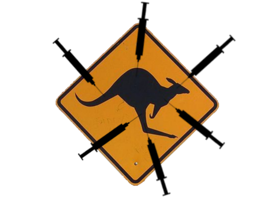 australie kangourou tennis seringue covid djokovic panneau