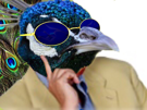 oiseau-ecoute-lunettes-bleues-2022-golem-anti-vax-pas-pret