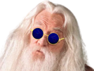 dumbledore-2022-pret-albus-bleues-pas-vieillard-anti-vieux-lunettes-golem-vax