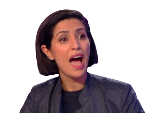 sarah hairy bot lrem collabo pistonnee macronie