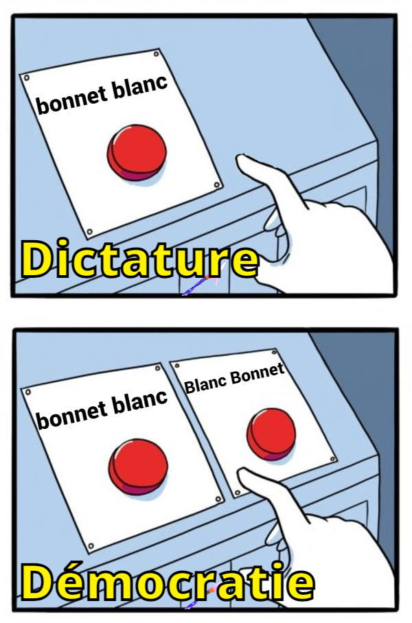 vote systeme democratie dictature faux choix bouton rouge moutons golems pigeons