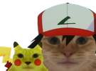 chat-pokemon-sacha-pikachu