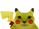 chat-pokemon-pikachu