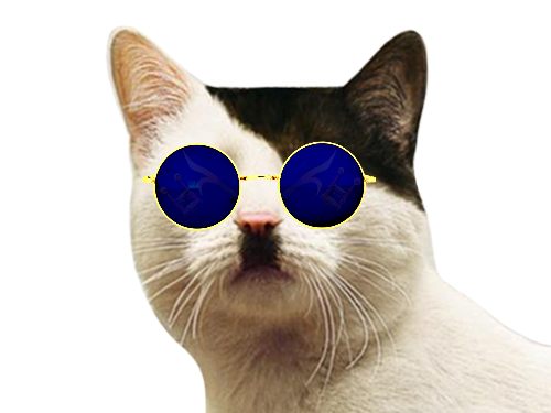 Sticker chat hiteler lunettes par Zinzolin