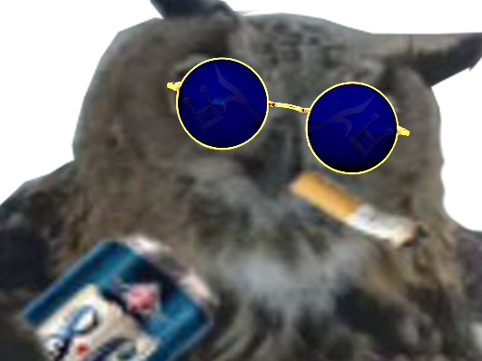 hibou 86 clope lunettes