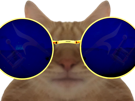 chat-roux-lunettes-grosses