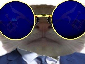 costard chat haut lunettes grosses