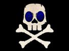bleu-lunette-not-drapeau-golem-skull-squelette-pirate-ready-os-dose-vaccin