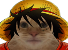 one-d-monkey-chat-luffy-piece-onepiece