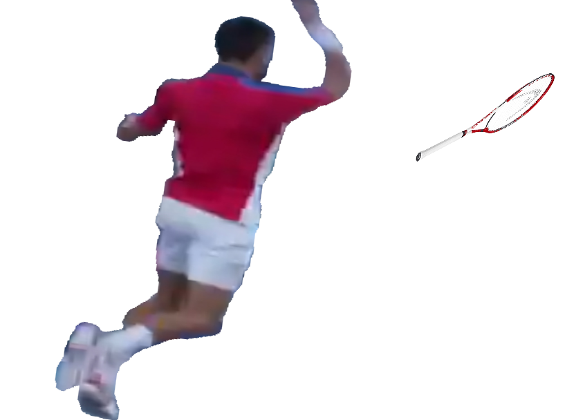 Sticker tennis djokovic par LesBeauxJoueurs