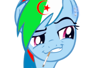 rainbowdash kj kikoojap anime dz algerie
