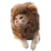 chat-lion-poti