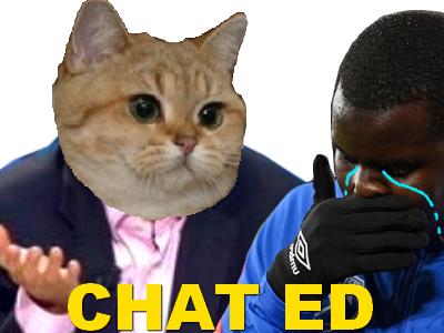 kurt zouma chat ed