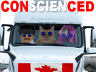 convoi-liberte-canada-ottawa-bloquage-camionneur-routier-not-ready-conscience