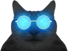 fluo-chat-lunettes-sombre-darkmode