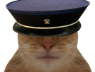 officer-police-kepi-meme-chat-cat-template-risitas-jesus